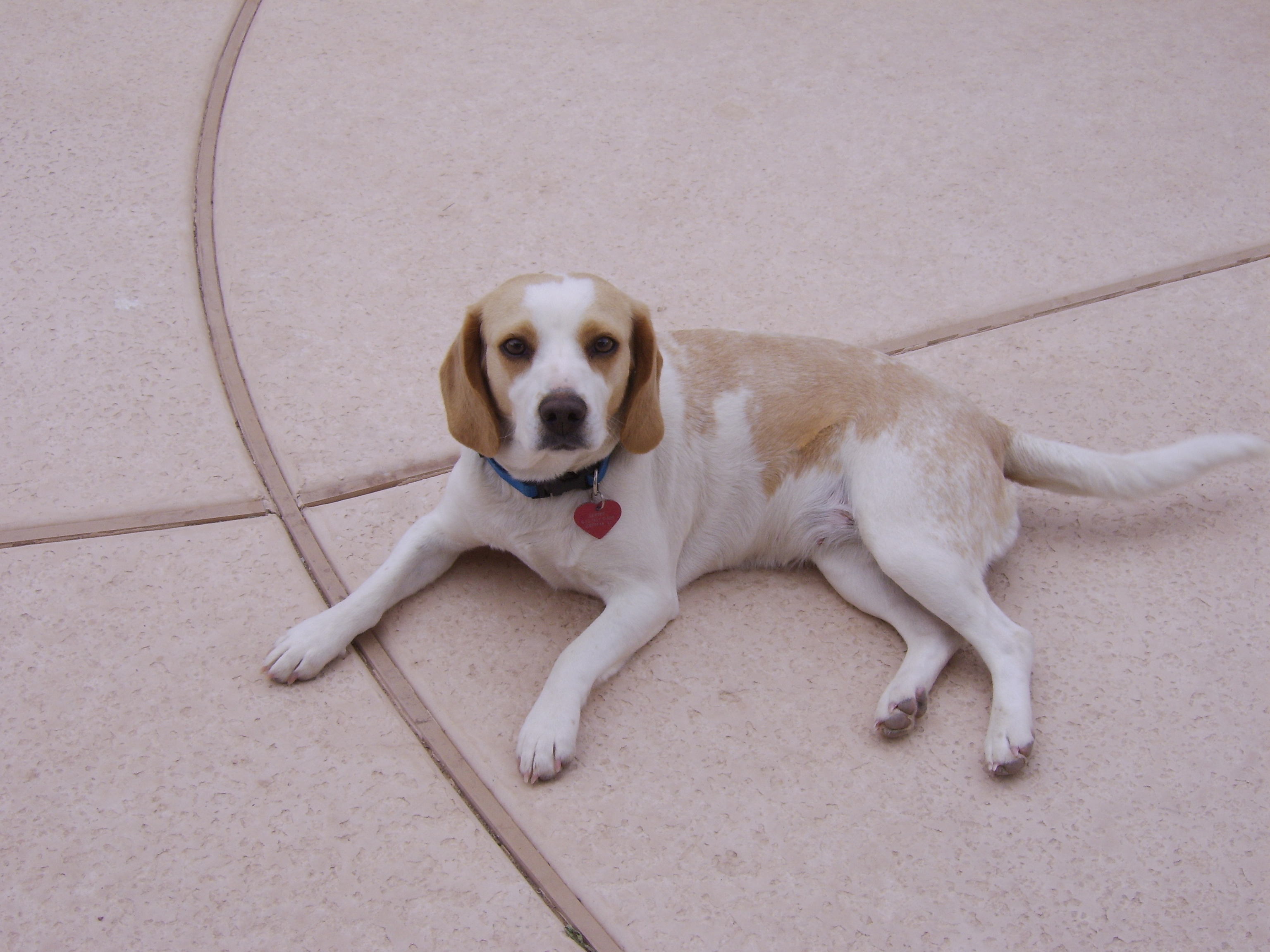 sophie.97.jpeg